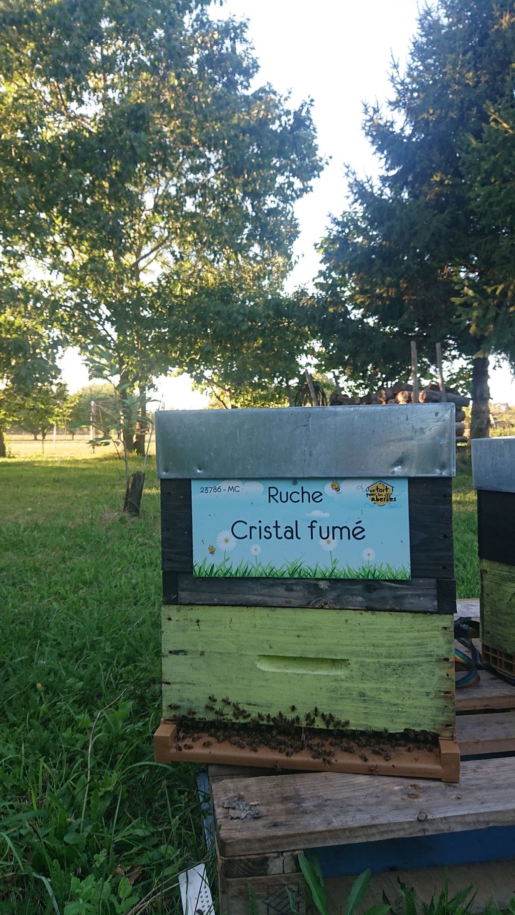 La ruche Cristal fumé
