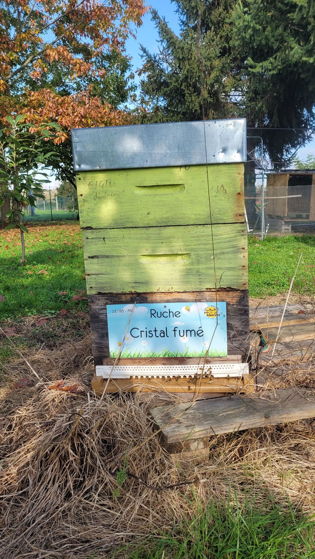 La ruche Cristal fumé