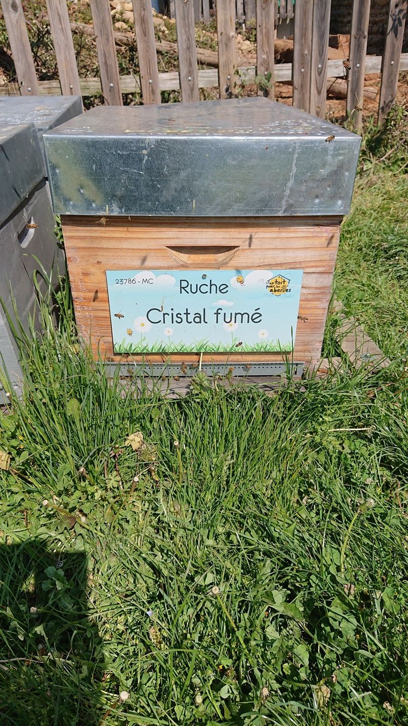 La ruche Cristal fumé