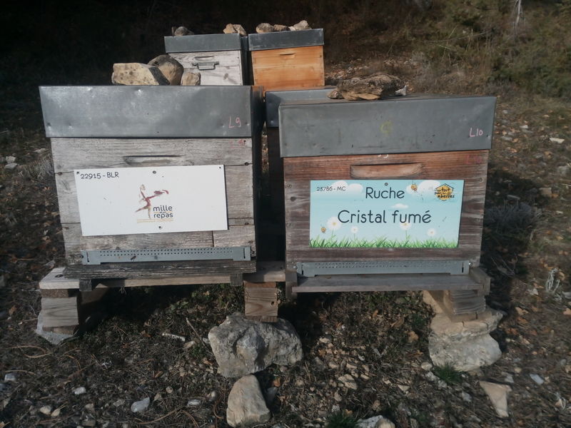 La ruche Cristal fumé