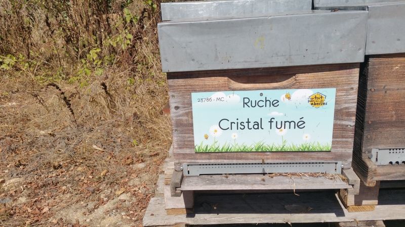 La ruche Cristal fumé