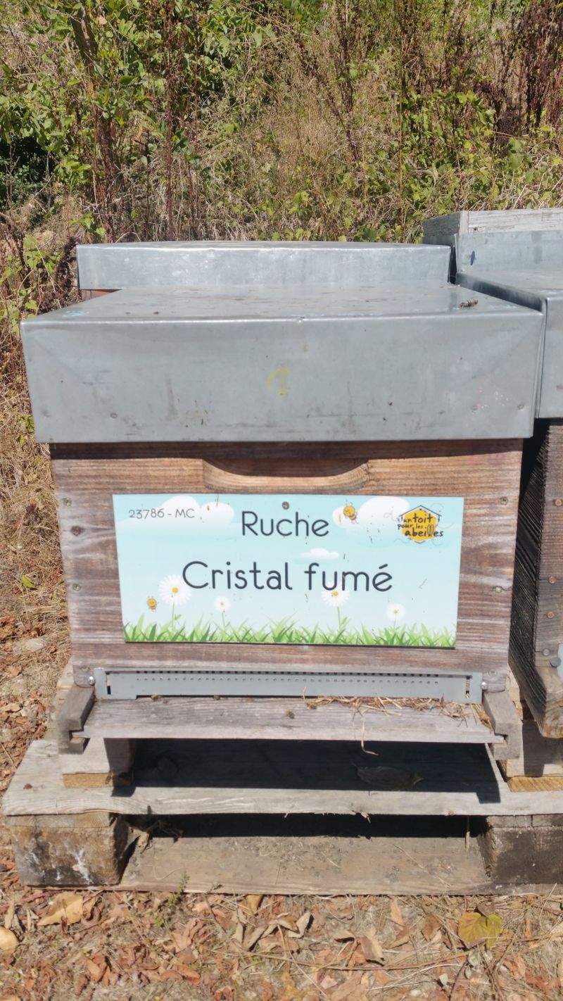 La ruche Cristal fumé
