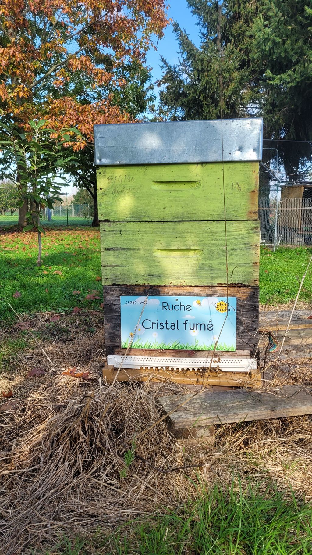 La ruche Cristal fumé