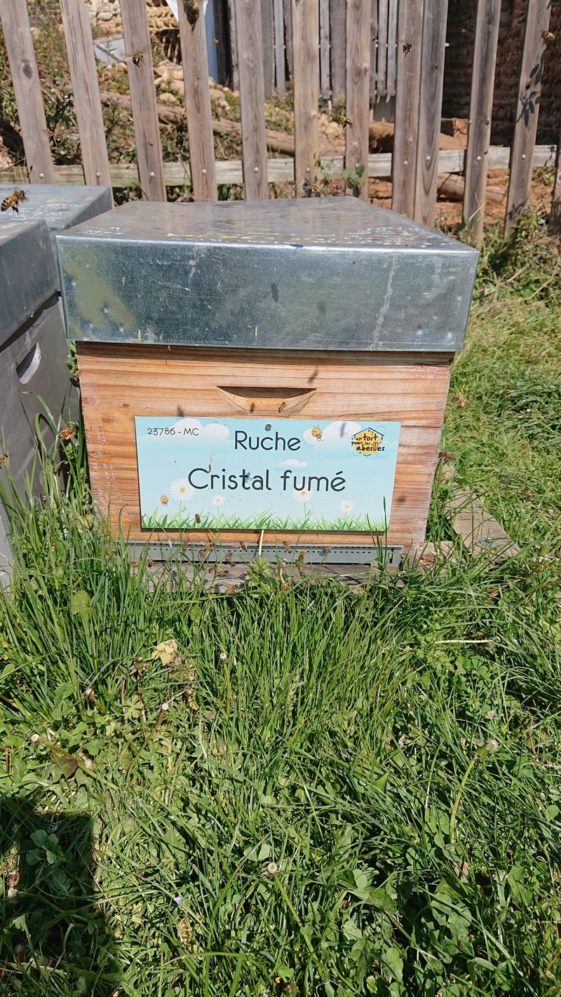 La ruche Cristal fumé