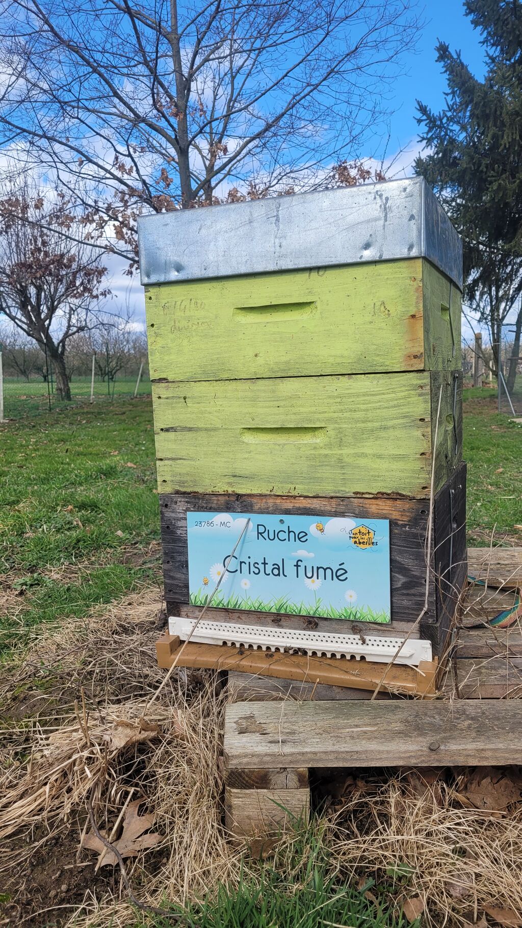 La ruche Cristal fumé