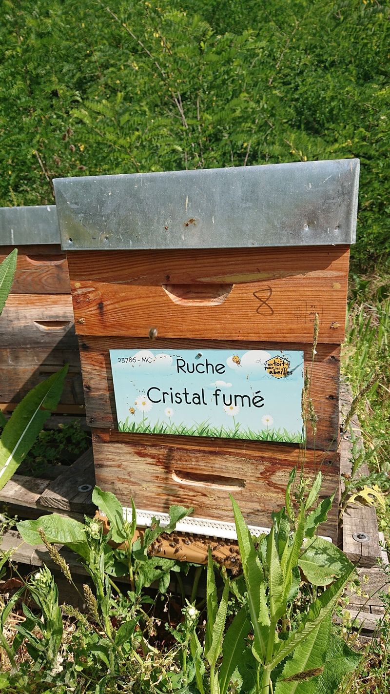 La ruche Cristal fumé