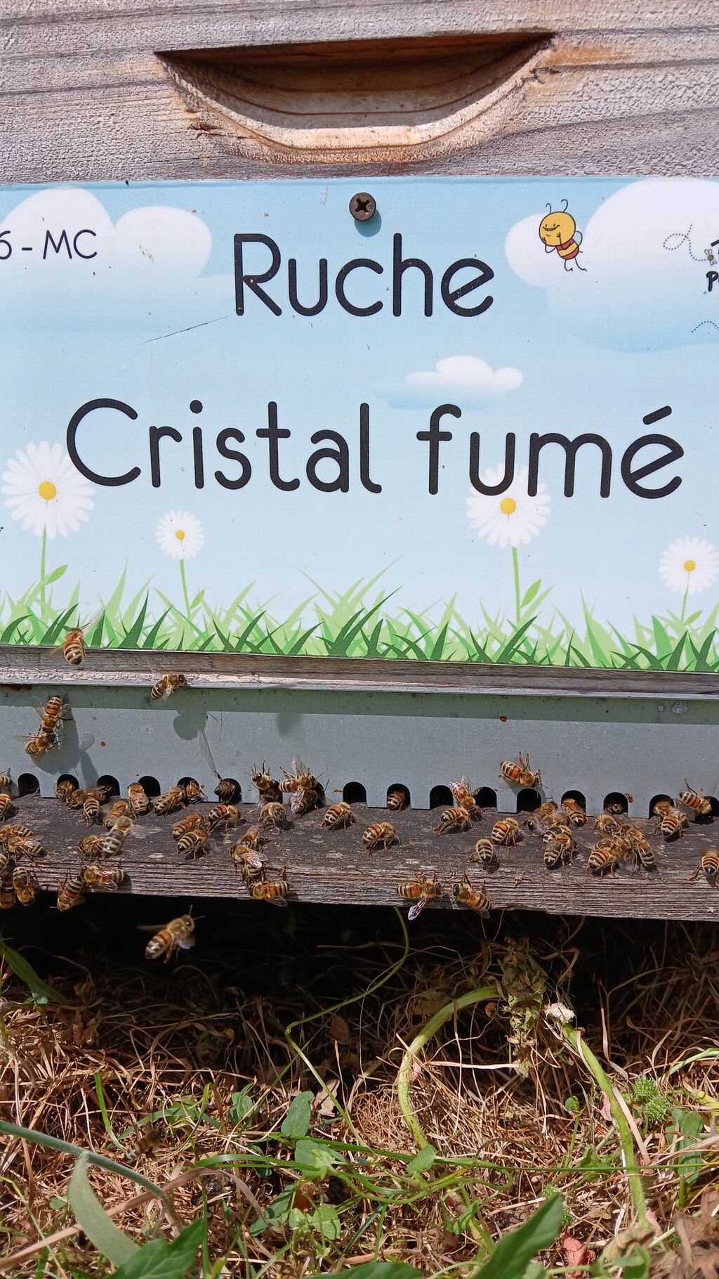 La ruche Cristal fumé