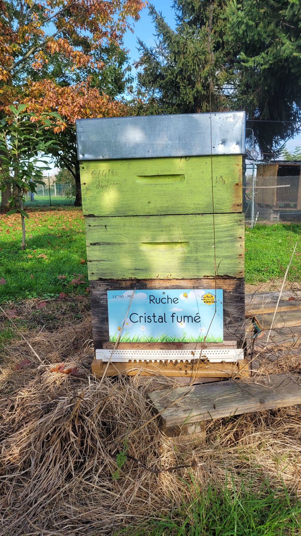 La ruche Cristal fumé