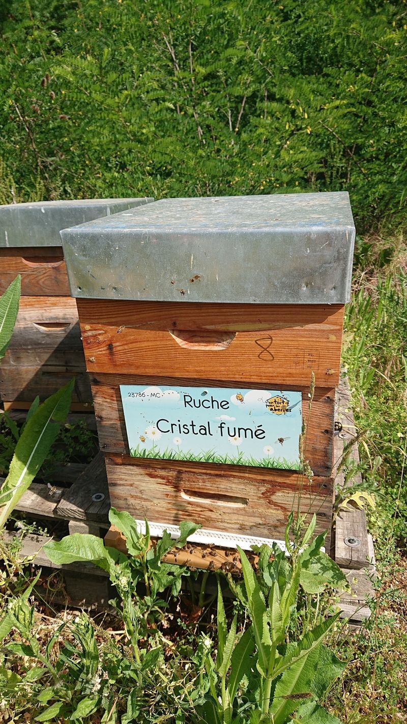 La ruche Cristal fumé