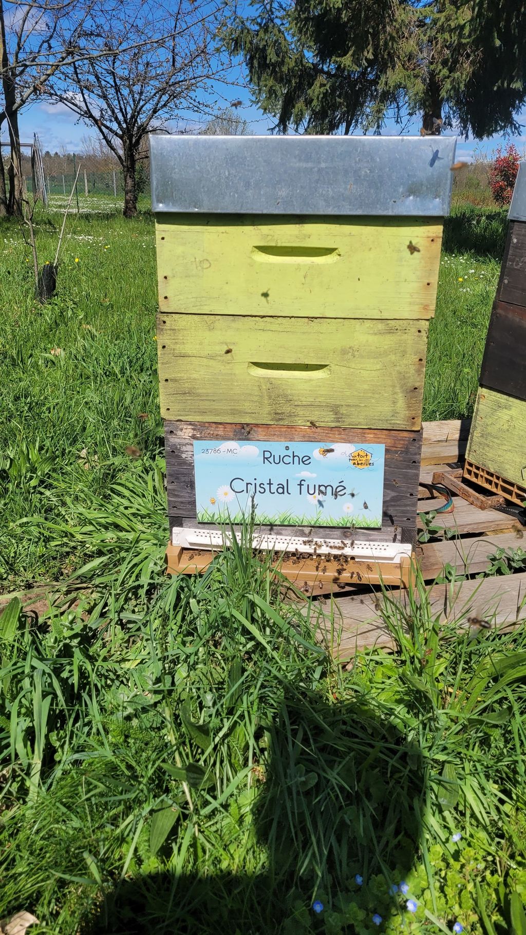 La ruche Cristal fumé