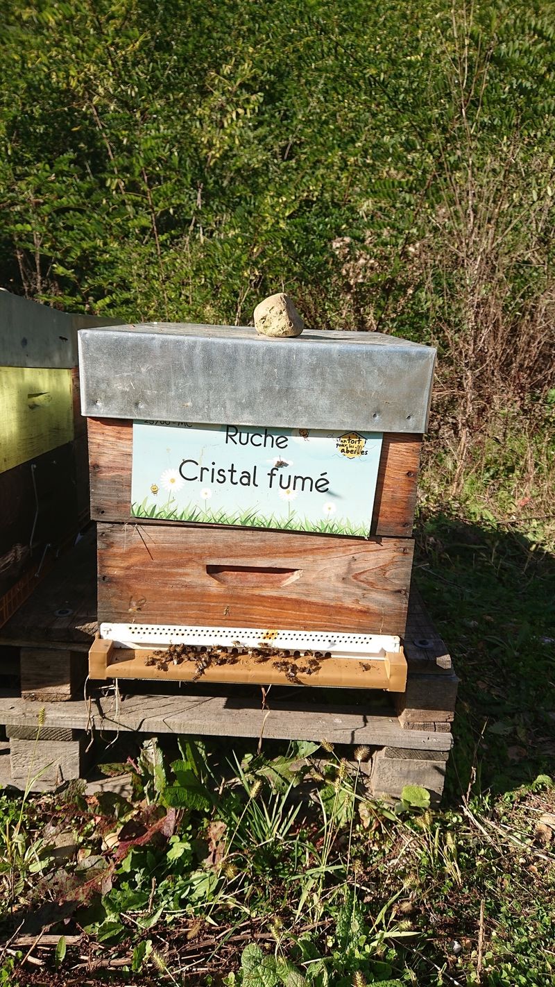 La ruche Cristal fumé