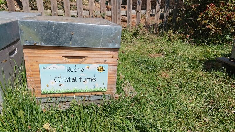 La ruche Cristal fumé