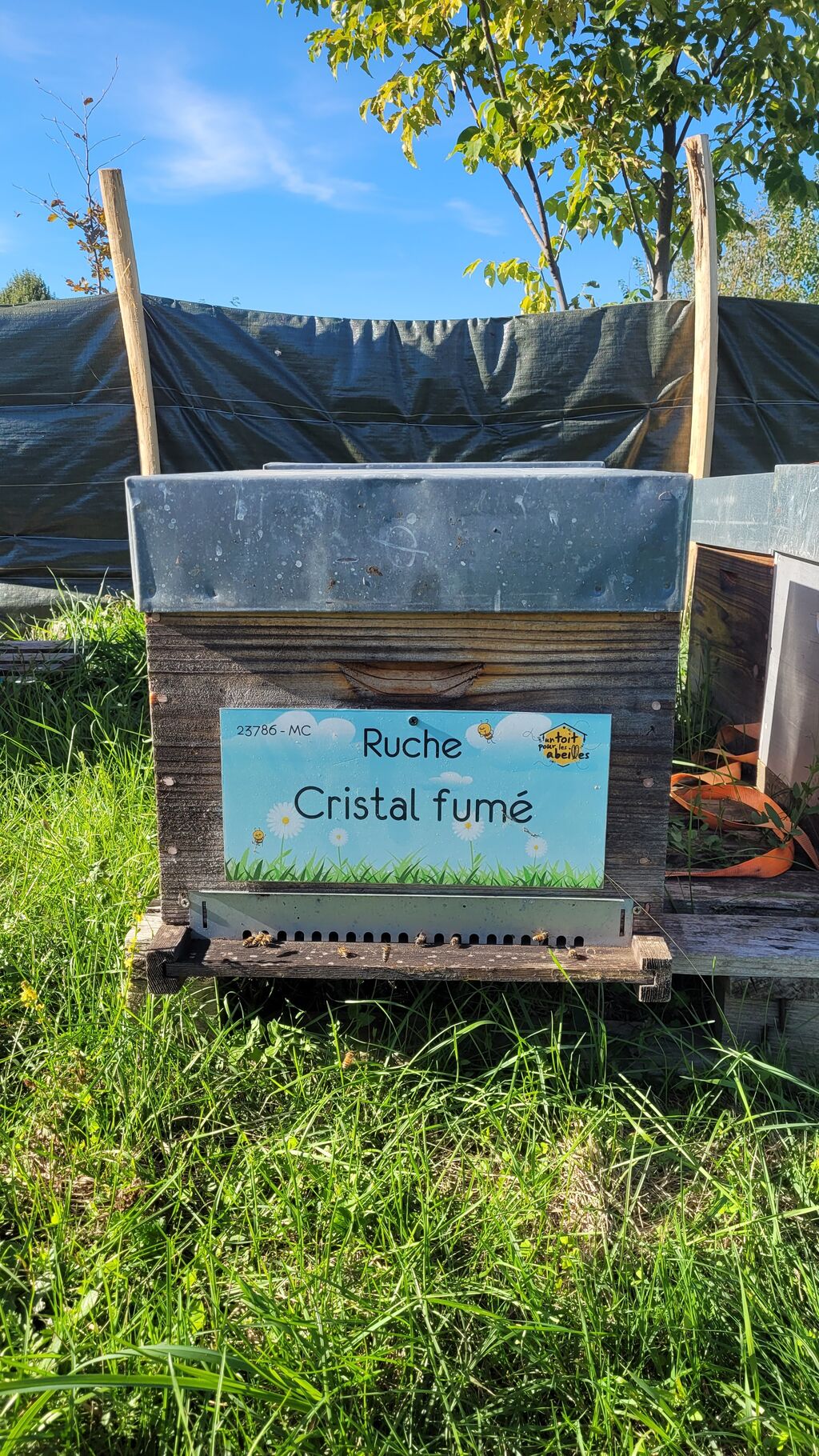 La ruche Cristal fumé