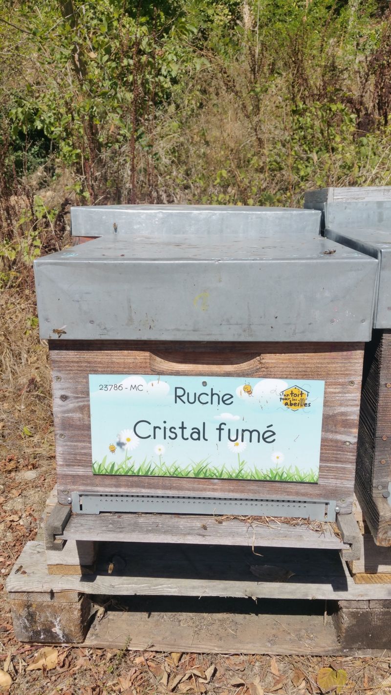 La ruche Cristal fumé