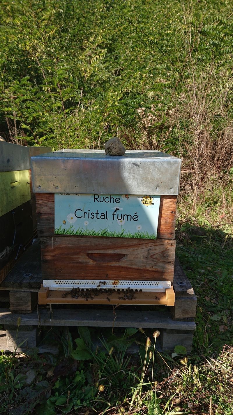 La ruche Cristal fumé