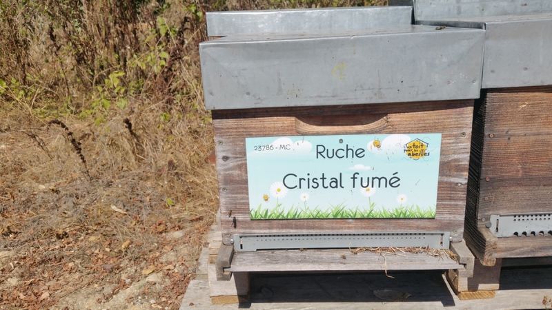 La ruche Cristal fumé