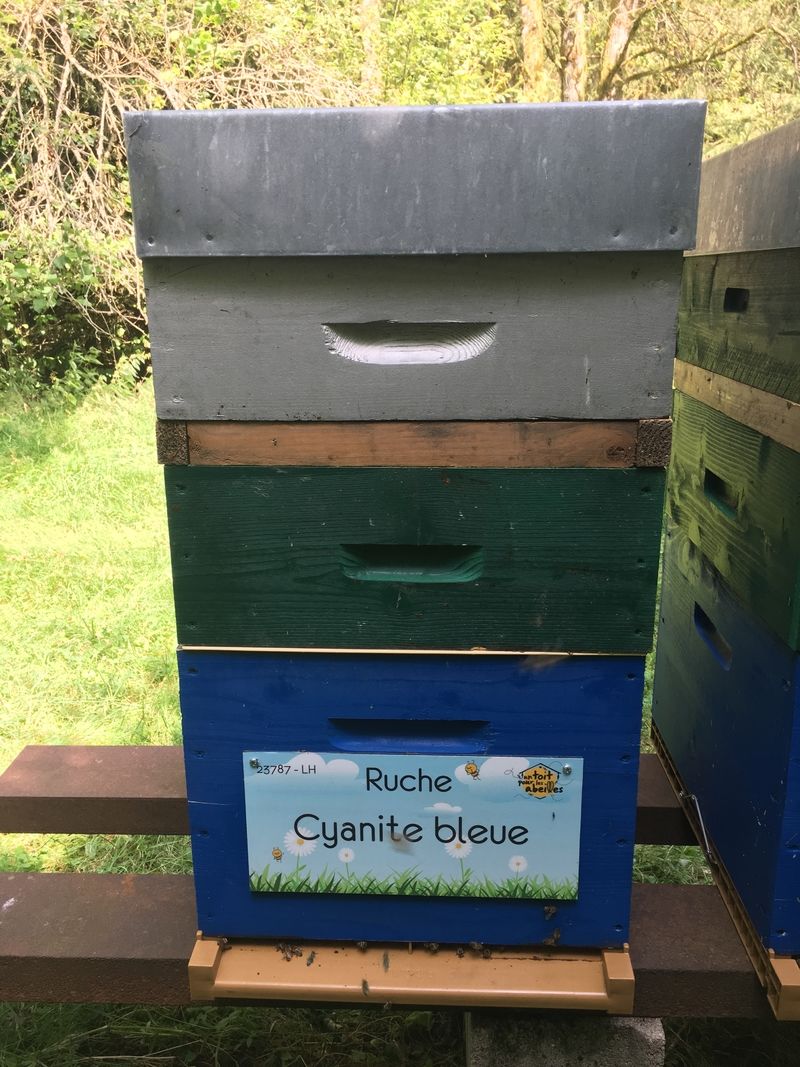 La ruche Cyanite bleue