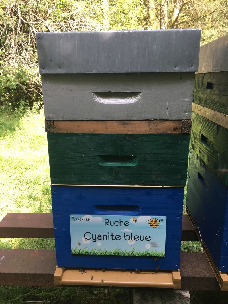 La ruche Cyanite bleue