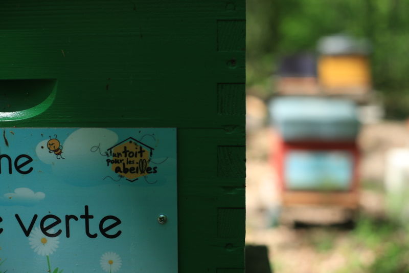 La ruche Cyanite verte