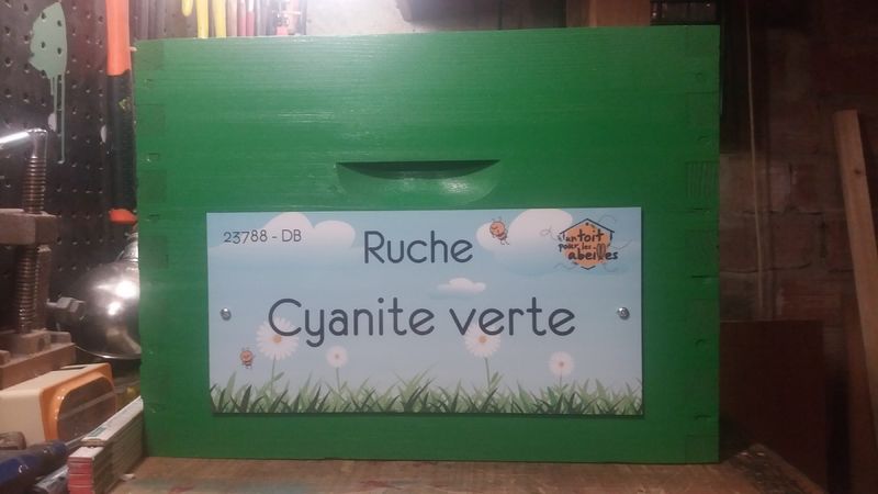 La ruche Cyanite verte