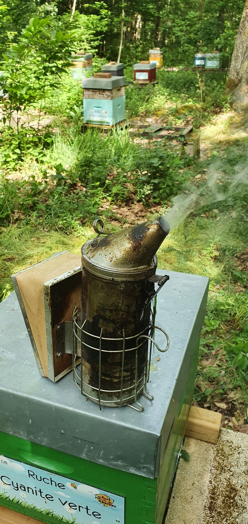 La ruche Cyanite verte