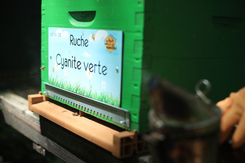 La ruche Cyanite verte