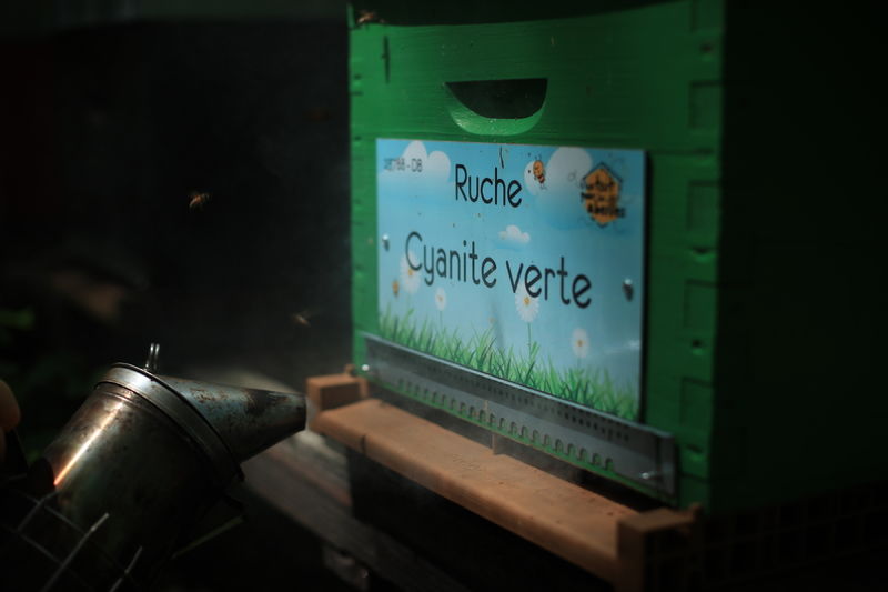 La ruche Cyanite verte