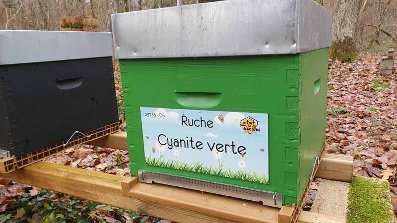 La ruche Cyanite verte