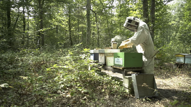 La ruche Cyanite verte