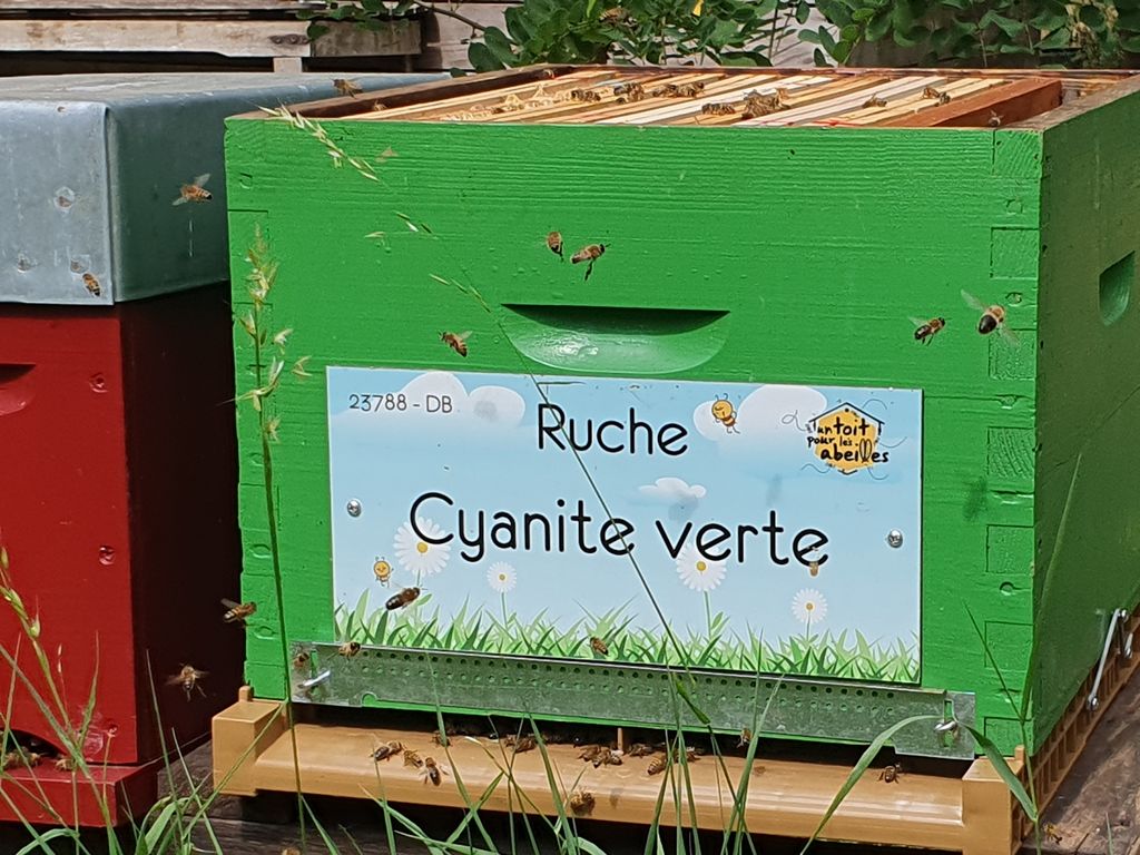 La ruche Cyanite verte