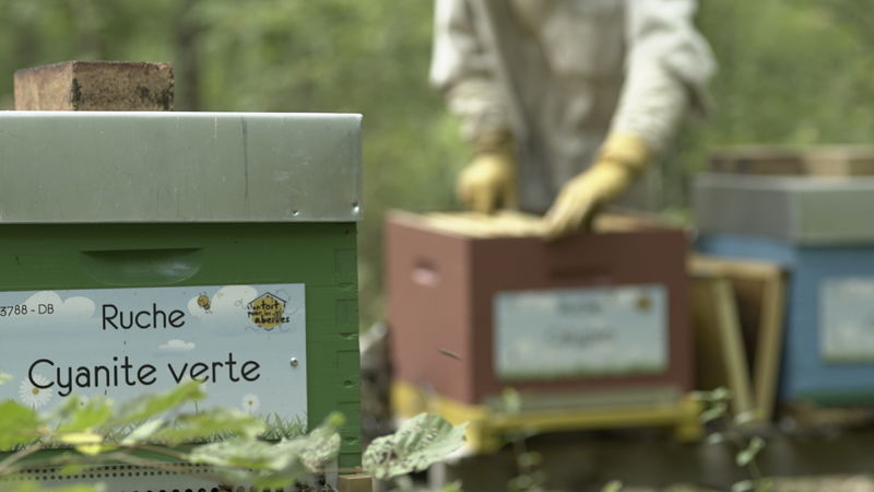 La ruche Cyanite verte