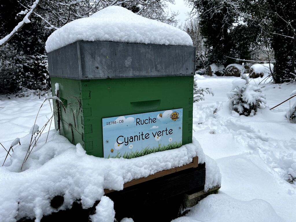 La ruche Cyanite verte