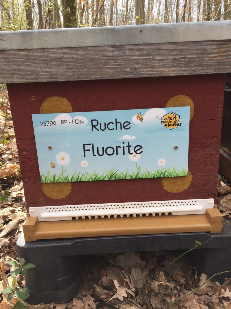 La ruche