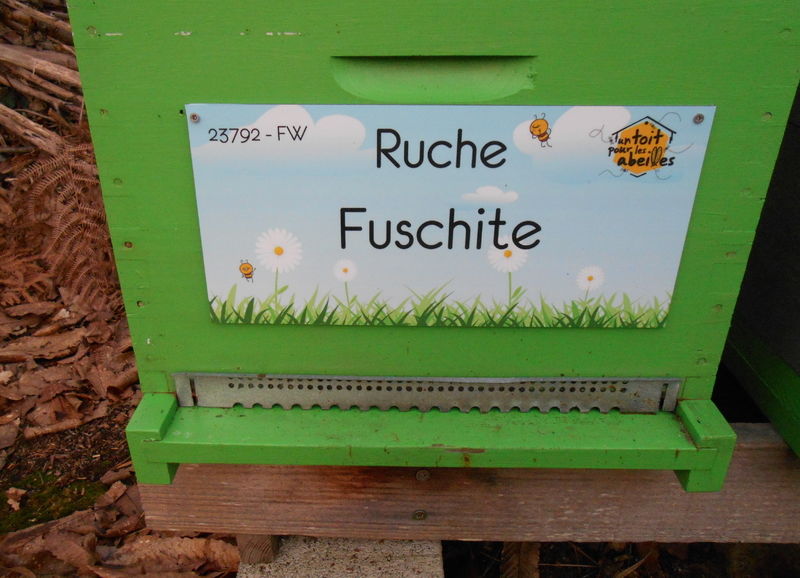 La ruche