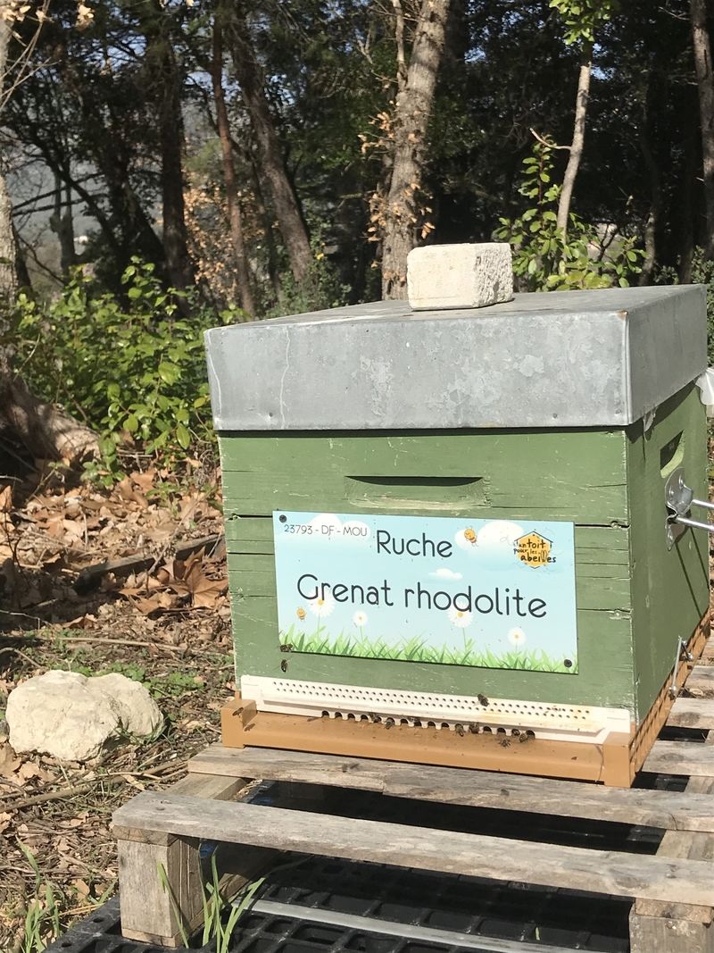 La ruche Grenat rhodolite