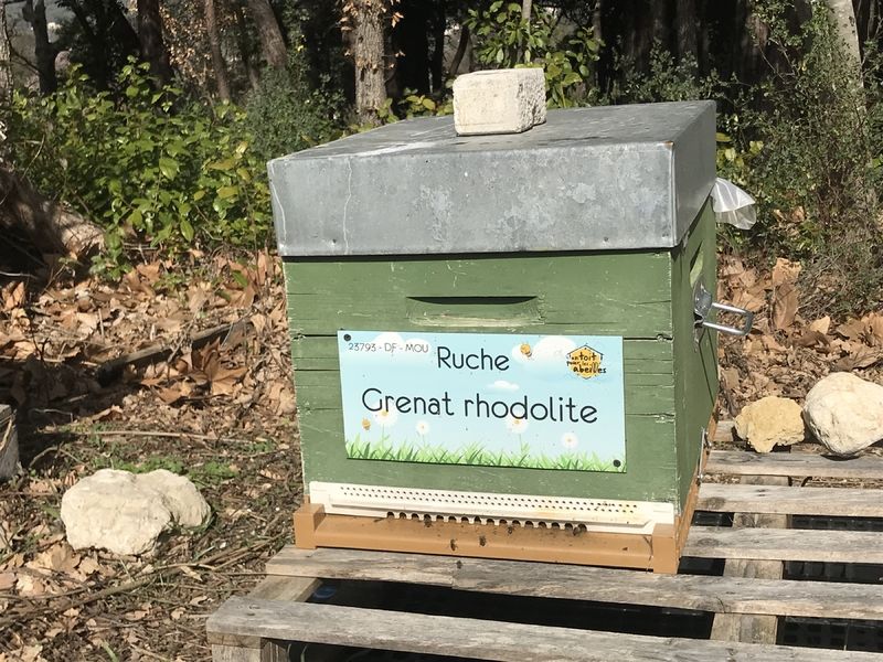 La ruche Grenat rhodolite