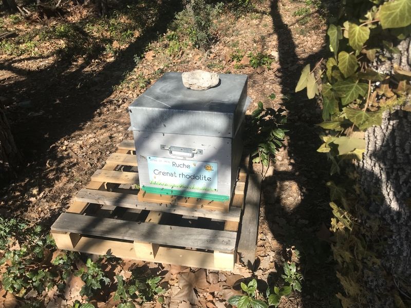 La ruche Grenat rhodolite