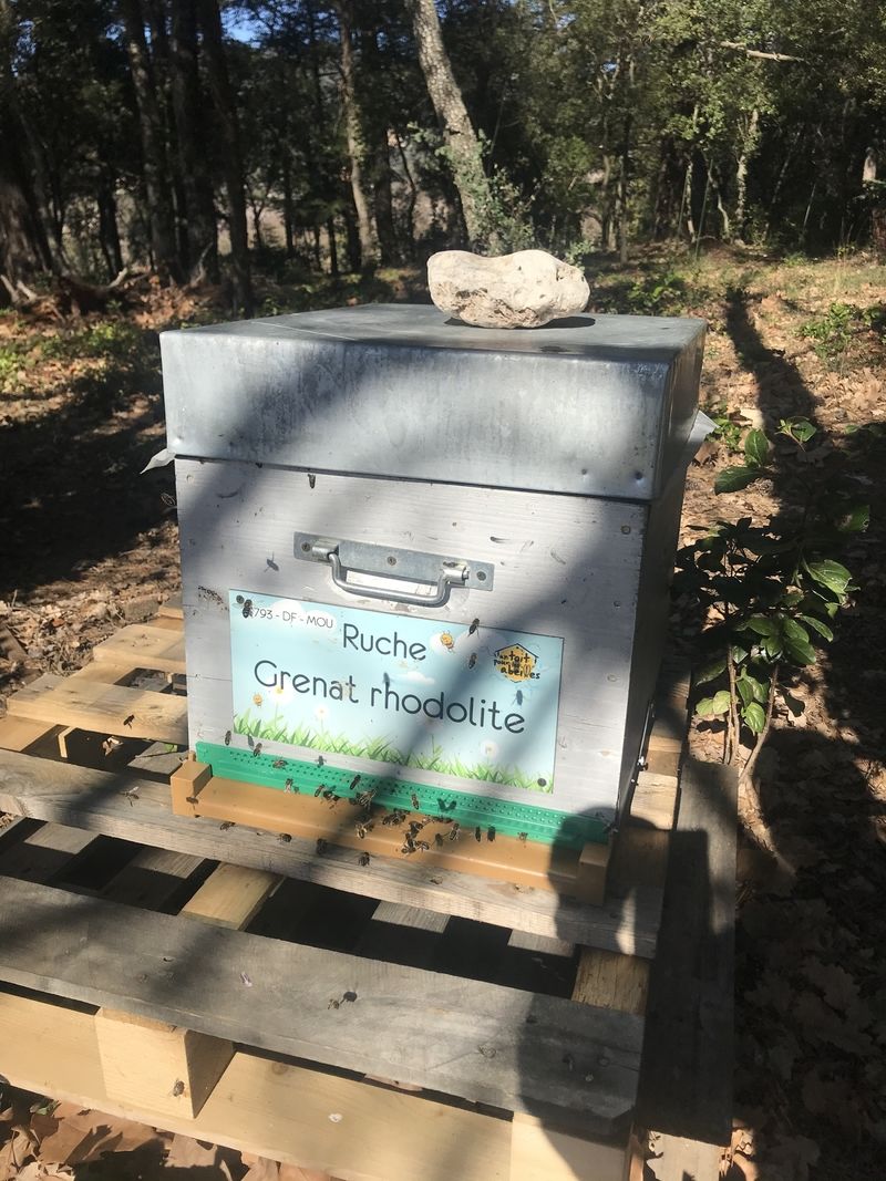La ruche Grenat rhodolite
