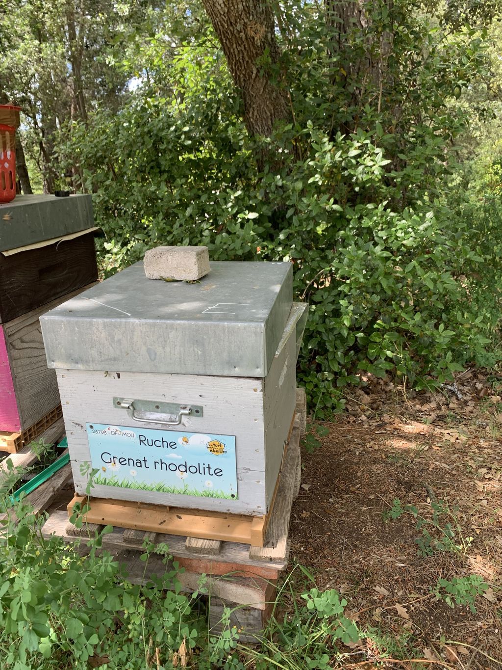 La ruche Grenat rhodolite