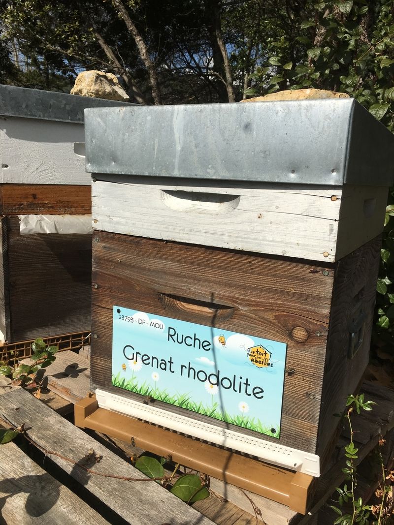 La ruche Grenat rhodolite