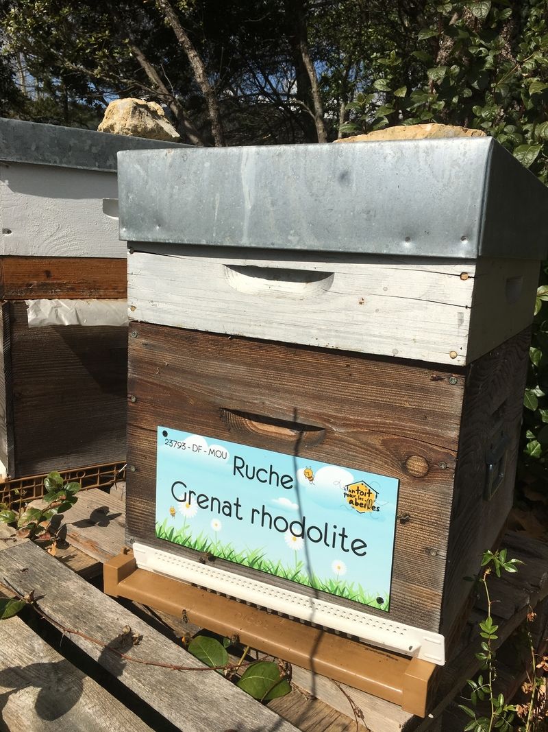 La ruche Grenat rhodolite