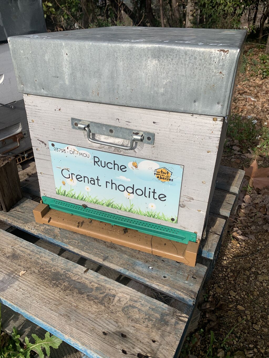 La ruche Grenat rhodolite