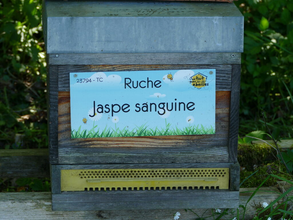 La ruche Jaspe sanguine