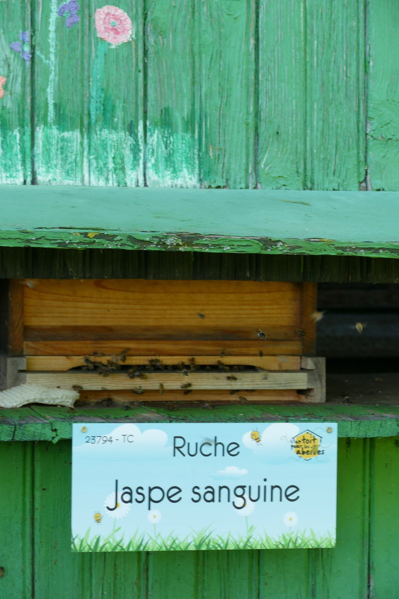 La ruche Jaspe sanguine