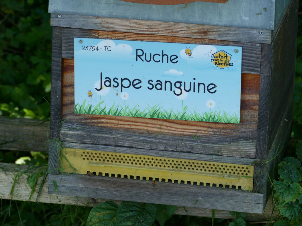 La ruche Jaspe sanguine