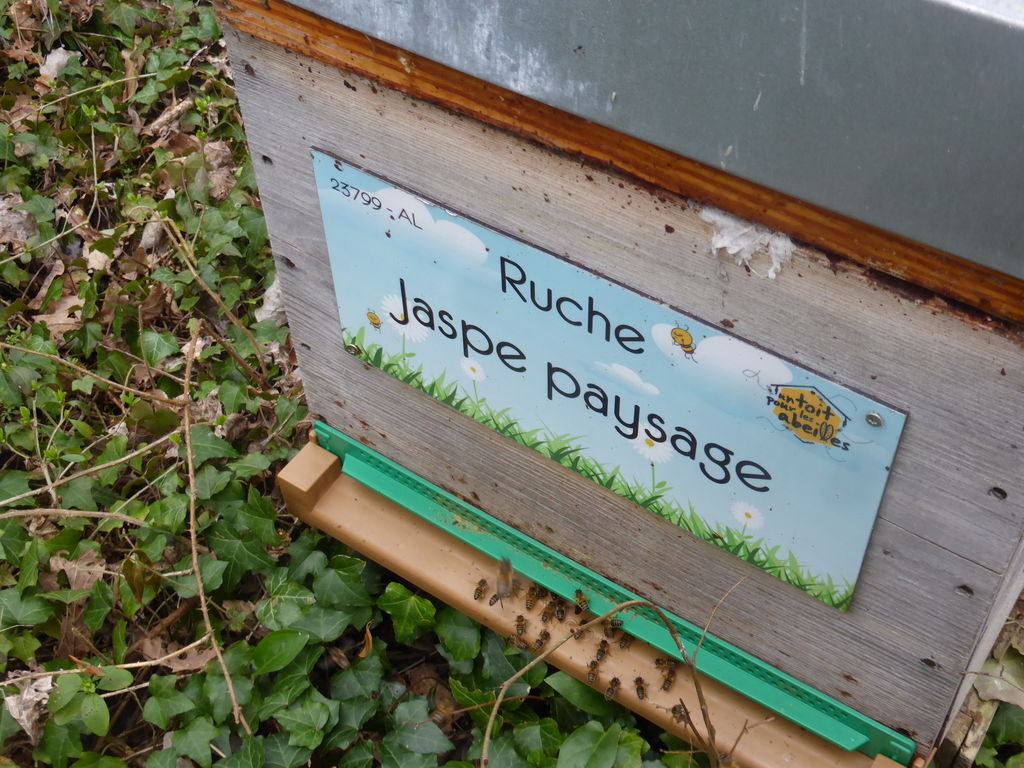 La ruche Jaspe paysage