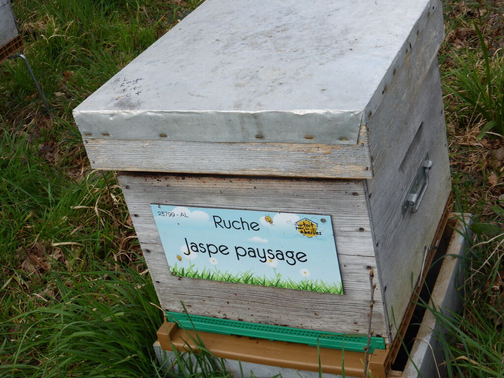 La ruche Jaspe paysage