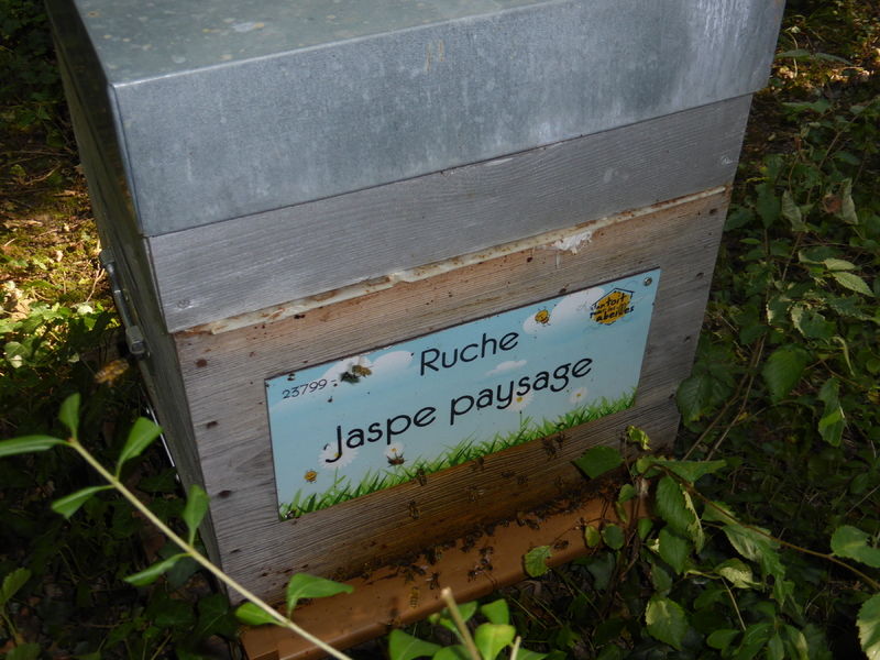 La ruche Jaspe paysage