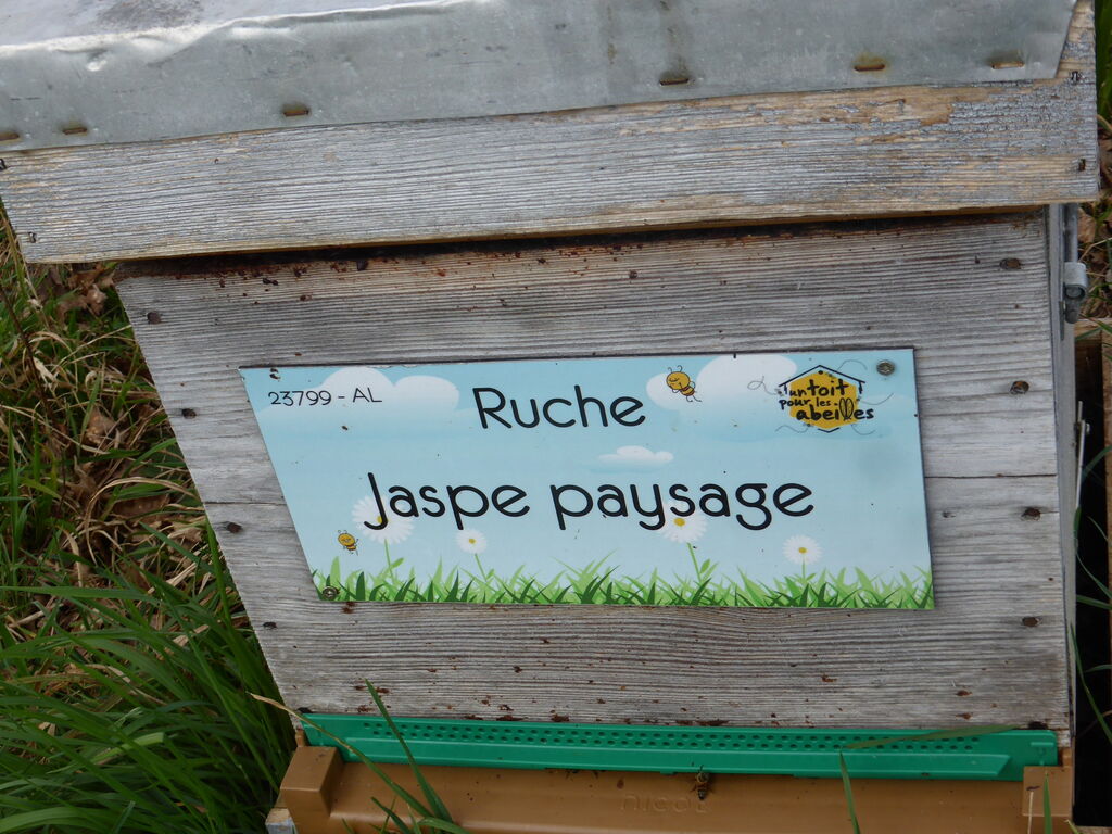 La ruche Jaspe paysage
