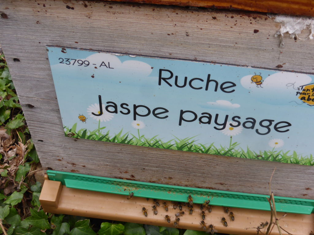 La ruche Jaspe paysage